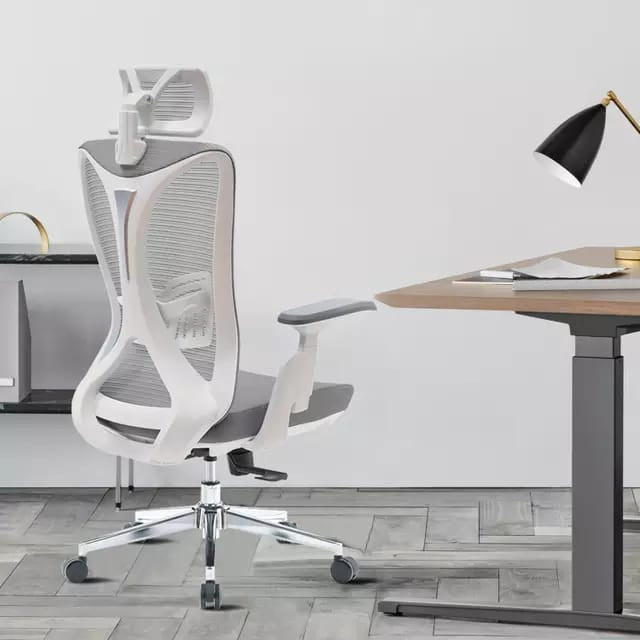 Best Office Ergonomic Mesh Chair (Model Ergo200)