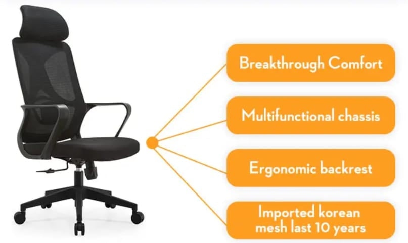 Best Office Ergonomic Mesh Chair (Model Ergo100)