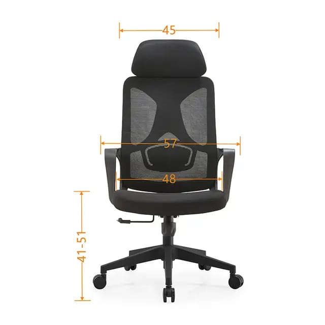 Best Office Ergonomic Mesh Chair (Model Ergo100)