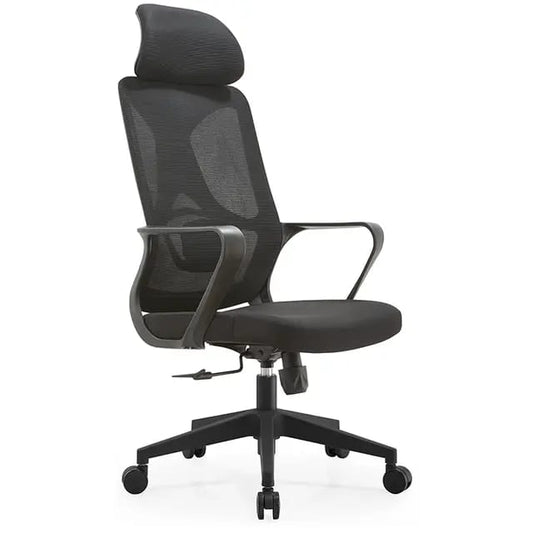 Best Office Ergonomic Mesh Chair (Model Ergo100)