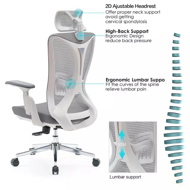Best Office Ergonomic Mesh Chair (Model Ergo200)